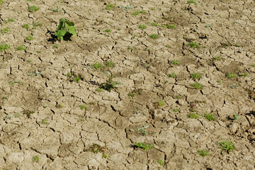 Dry lake bed with cracks on the ground as water draw down during the summer at Belgrad Forest Lake in Turkey.