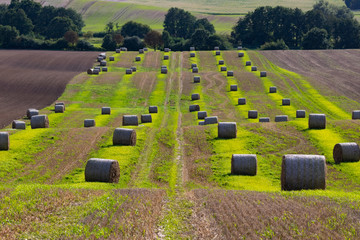 Strohballen auf einem Feld mit grüner Wiese