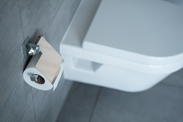 Toilet tissue roll dispenser and a toilet bowl