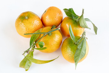 Frische Mandarine isoliert