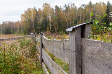 Podlasie siedlisko płot © rpetryk