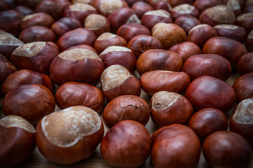 together brown chestnuts, close up with copy space
