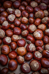 together brown chestnuts, close up with copy space, vertical view