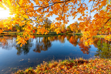 Alexander park in autumn, Pushkin (Tsarskoe Selo), St. Petersburg, Russia