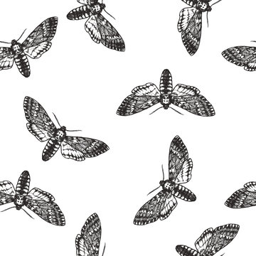 Vector seamless pattern with death head moth in engraving style. Hand drawn texture with butterfly isolated on white. Background with symbol of Halloween