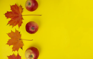 Autumn still life. Yellow background with maple autumn leaves and apples. Autumn seasonal background, concept of autumn card. Copyspace.