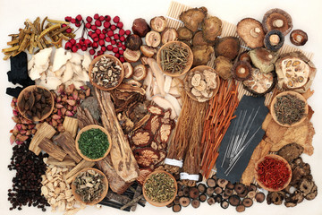 Traditional Chinese herbs used in herbal medicine with acupuncture needles on a bamboo mat and cream background.