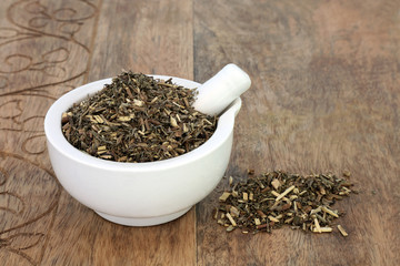 Southernwood herb leaf used in herbal medicine in a mortar with pestle to treat pre menstrual tension & cramps, urinary disorders  is anti inflammatory & can improve liver function.Artemsia abrontanum