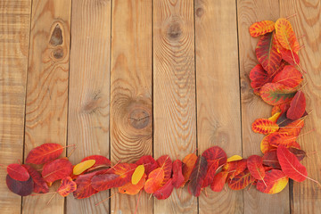 Colorful red and orange autumn leaves decoration on wooden boards