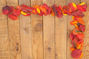 Colorful autumn leaves decoration on wooden boards