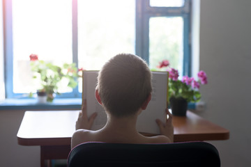 Schoolboy reading a book with interest. Home interior. Back view