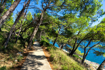 Cikat forest park beach walkway with trees and the blue sea