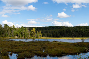 West Rose lake landscape along Mizzy Lake Trail in Algonquin Provincial Park