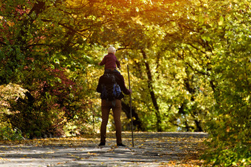 Father with son on his shoulders walking in the autumn park. Sunny day. Back view