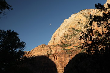 Sunny morning moon above canyon wall in Zion National Park, Utah