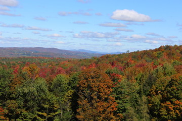 Fototapeta premium Fall in the Eastern Townships, Qc