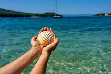 Fototapeta na wymiar holding shell on the beach blue sea background vacation