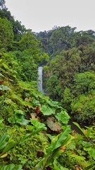 Tropical Costa Rica Waterfalls