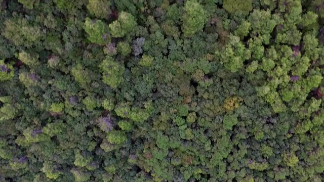 In volo sul Conero e Portonovo