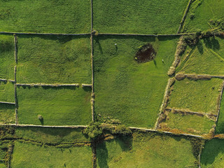 Aerial view on rural landscape in Ireland, Green grass fields divided by traditional dry stone fences.