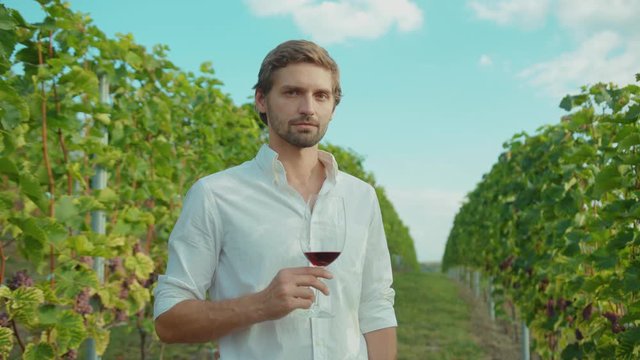 Outdoor portrait of attractive intelligent man holding glass of wine staying in beautiful grape garden on vineyard tour.
