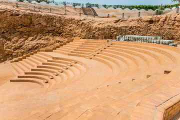 Palm trees at tropical coast Amphitheater ancient scene