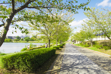 仙波公園　茨城県