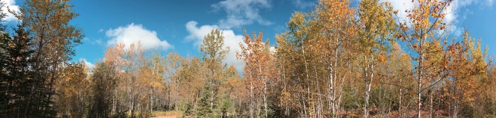 Paysage d'automne canadien au Québec