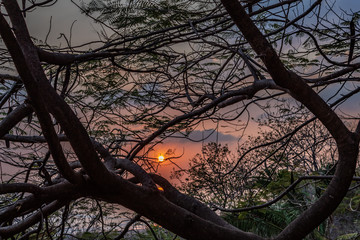 Sunset Through the Trees