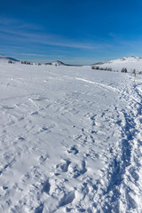 Fototapeta na wymiar Winter view of Vitosha Mountain, Bulgaria