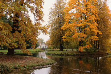 Obraz premium October autumn park in Russia, lake with red leaves and reflection in the lake, Alexander Park, Tsarskoye Selo, Leningrad Region. Beautiful autumn landscape in the park,