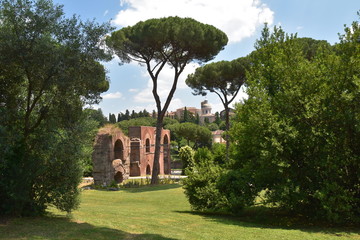 Travelling through the City of Rome Italy