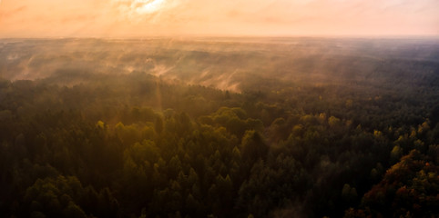 Fototapeta na wymiar Die Herbstsonne erleuchtet die Südheide bei Wildeck / first morning sun rays enlightening a forest in lower saxony 