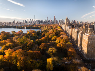 Central Park Fall 