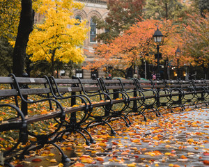 Washington Square Park Fall