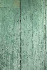 Light desaturated green, mint old stressed, weathered, cracked rusic painted exterior timber planks plain background texture
