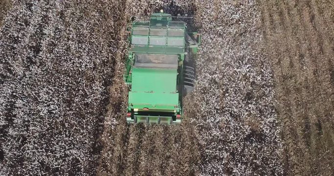 Cotton harvest - Aerial footage of a large combine harvester working on a large cotton field.