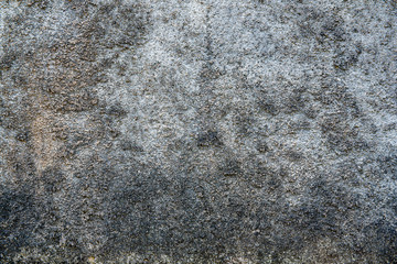 Cement wall  texture and copy space in the grey color- background