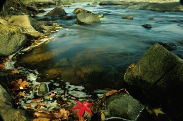 Scenery of James River landscape in Richmond, Virginia, USA