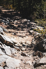 Obraz na płótnie Canvas rocky path in forest