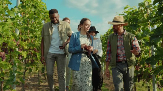 Fun Young Farmer Guiding Exciting Wine Tour For Wealthy People. Happy Mixed Race Friends Laughing Of Joke Reveling In Holiday Vacation To Vineyard.