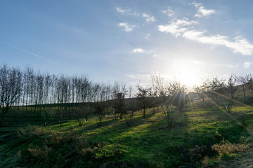 Sun setting behind a green hill