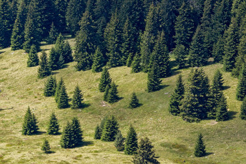 Obraz premium Landscape of Rhodope Mountains from Snezhanka tower, Bulgaria