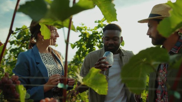 Afro-american man tasting wine with his wife enjoying fruit taste degustation staying at grapevine valley. Winemaker in hat guiding private tour on vineyard.