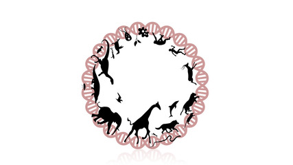 Evolution of species illustration. Evolution vector design