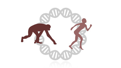 Evolution of species illustration. Evolution vector design