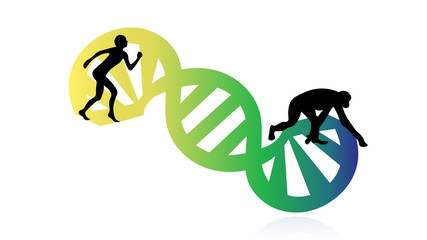 Evolution of species illustration. Evolution vector design