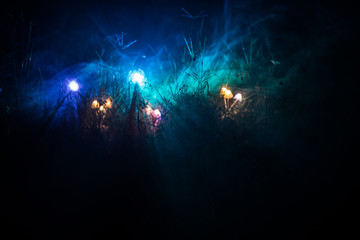 Fantasy glowing mushrooms in mystery dark forest close-up. Beautiful macro shot of magic mushroom or three souls lost in avatar forest. Fairy lights on background with fog