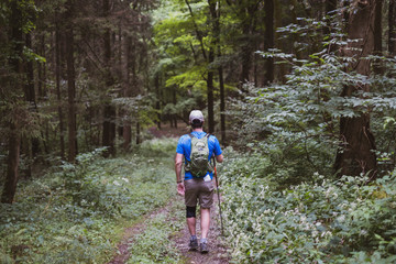 Man hiking or walking in the woods