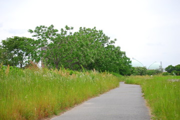 河川敷